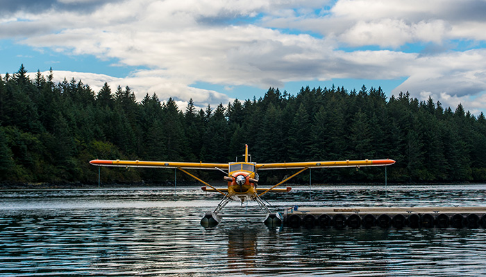 kodiak airplane